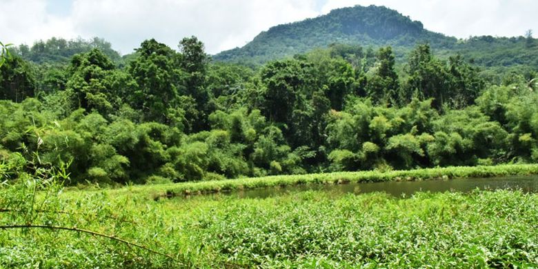 Danau Koliheret yang berada di Desa Watudiran, Kecamatan Waigete, Kabupaten Sikka, Flores, Nusa Tenggara Timur (NTT), Minggu (21/4/2019).