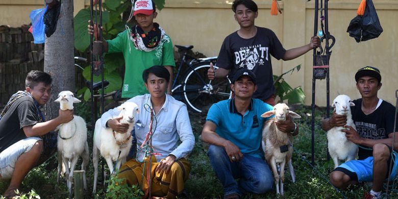 Karapan kambing di lapangan Sumberasih, Probolinggo, Jawa Timur. Dua pasang kambing dipacu untuk mencari yang tercepat. Hanya saja joki karapan kambing tidak menaiki keleles seperti karapan sapi, melainkan berlari di belakangnya.