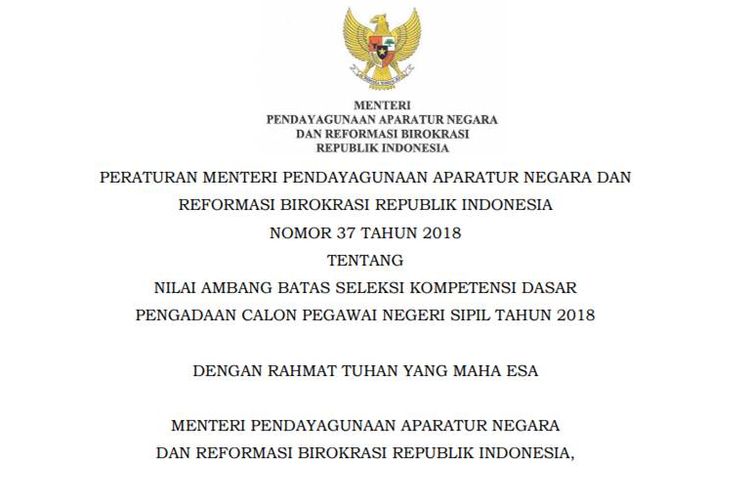 Hasil gambar untuk sk penerimaan cpns  2019