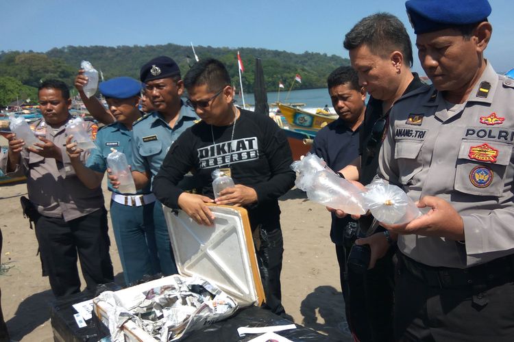 Petugas dari BKIPM Lampung, Polairud Polres Ciamis dan Pos TNI Angkatan Laut melepasliarkan 15.250 benih lobster di perairan Pangandaran, Jawa Barat, Kamis (20/6/2019).
