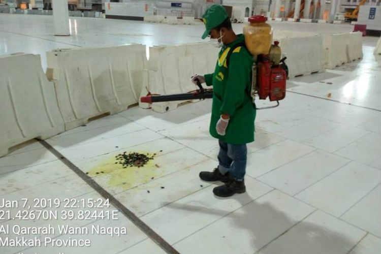 Petugas terlihat membersihkan serangan jangkrik di sekitar Masjidil Haram, Mekkah