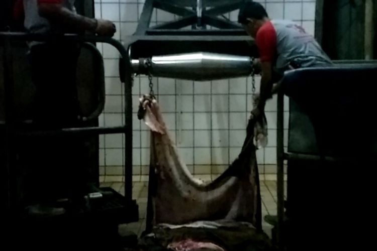 Proses pemotongan hewan di Rumah Potong Hewan (RPH) Dharma Jaya di Cilincing, Jakarta Utara, Rabu (22/8/2018).