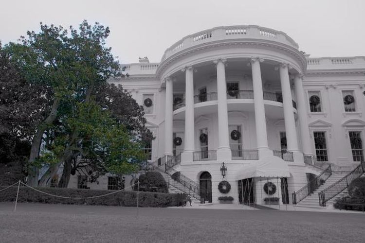 Pohon ikonik Gedung Putih berusia hampir dua abad. (CNN)