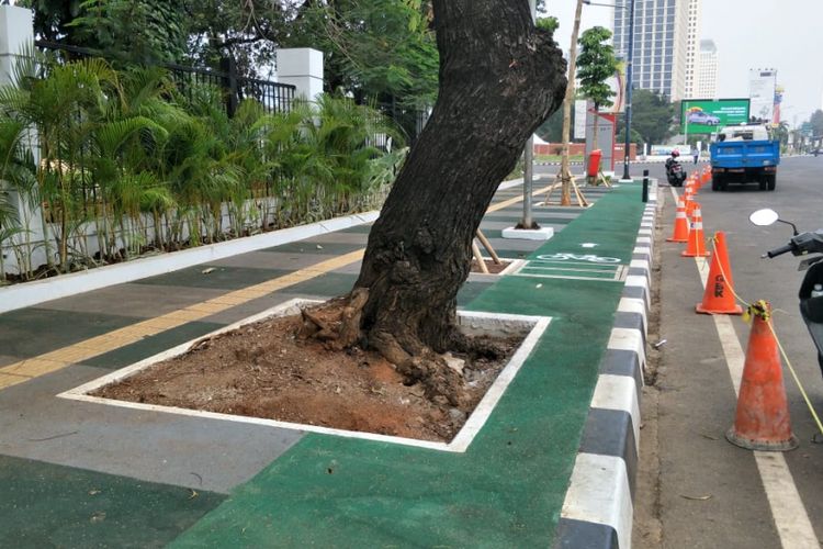 Jalur sepeda di trotoar Jalan Asia Afrika, tepatnya di luar gerbang kompleks Gelora Bung Karno (GBK), terhalang pohon. Foto diambil Selasa (31/7/2018).