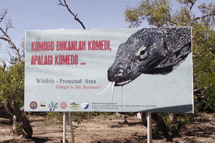 Taman Nasional Komodo di Resort Loh Buaya, Pulau Rinca, Kabupaten Manggarai Barat, Nusa Tenggara Timur, Sabtu (10/5/2014).