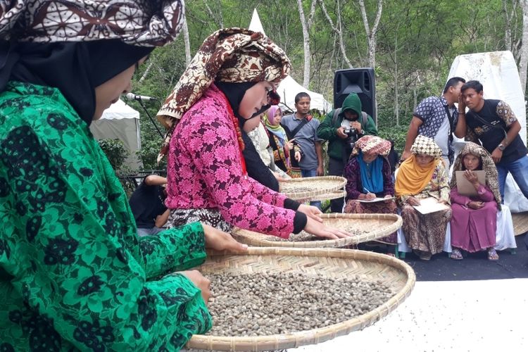 Suasana Lomba Munapi atau menampah biji kopi yang diikuti para perempuan dalam ajang Festival Panen Kopi di Kafe Seladang, Bener Meriah, Aceh, Senin (19/11/2018). Kegiatan ini masih merupakan rangkaian dari Gayo Alas Mountain International Festival (GAMIFest) 2018.