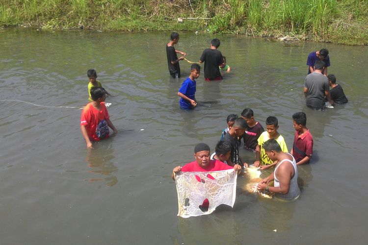 Warga mencuci jeroan binatang kurban, sapi maupun kambing, di Sungai Serang, Kulon Progo. Tidak hanya anak muda dan orang tua, banyak sekali anak-anak terlibat membersihan jeroan di sungai ini.