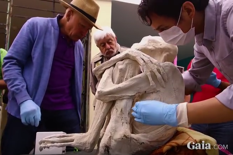 Mumi misterius yang memiliki tiga jari ini ditemukan di Peru dan disebut sebagai makhluk humanoid. Mirip manusia tapi bukan manusia.
