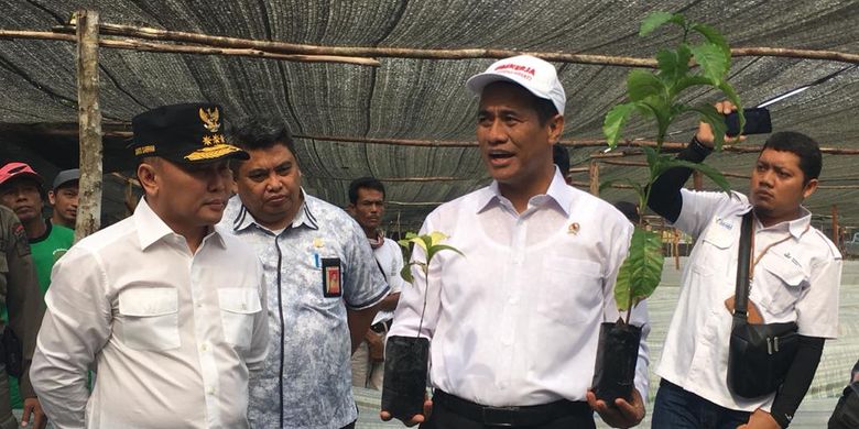 Menteri Pertanian Andi Amran Sulaiman menunjukkan dua bibit unggul tanaman kopi, salah satu dari 10 jenis komoditas perkebunan yang masuk ke dalam program BUN500.