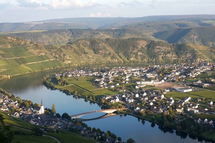 Perkebunan anggur di sekitar Kota Piesport, Jerman, yang dibelah Sungai Moselle, tampak dari ketinggian, Selasa (26/9/2017) sore. Jerman memiliki Undang-Undang Pendidikan Vokasi yang mewajibkan setiap orang berusia minimal 15 tahun belajar ketrampilan kerja selama tiga tahun sesuai kebutuhan pasar kerja.