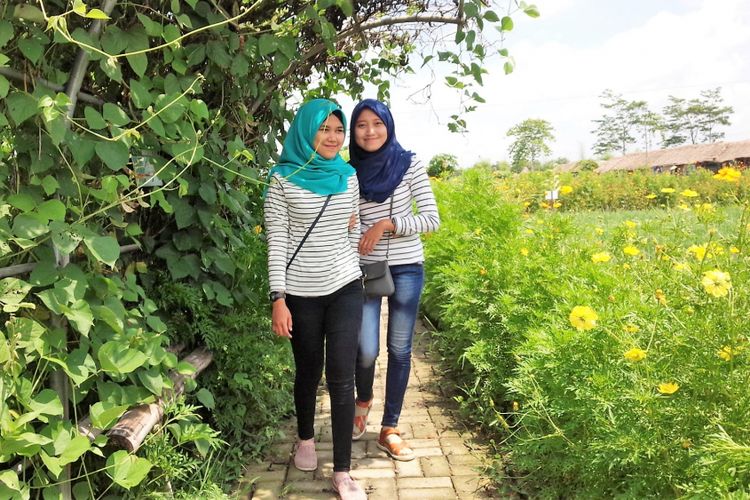 Dua orang pengunjung menyusuri lintasan taman di kawasan Banjarsari Agro Community (BAC). Di Taman Wisata dan Edukasi Pertanian ini, terdapat aneka tanaman sayur dan bunga.