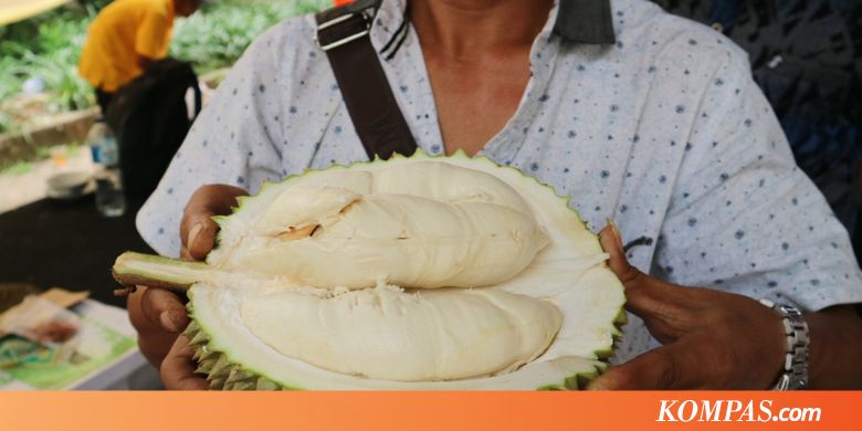 Dagingnya Putih Legit dan Gurih, Ini Dia Durian Si Susu dari Bogor
