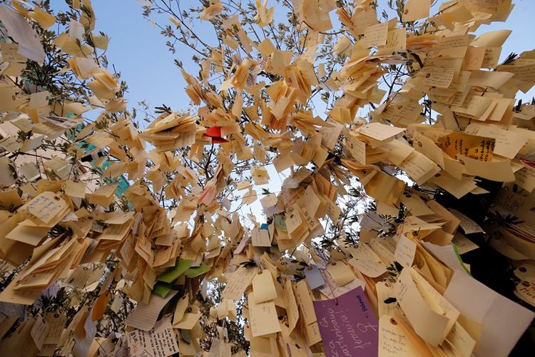 Ribuan pesan-pesan perdamaian yang digantung di pohon zaitun, ditulis warga selama berlangsungnya pemilu regional di Calatonia, Kamis (21/12/2017).