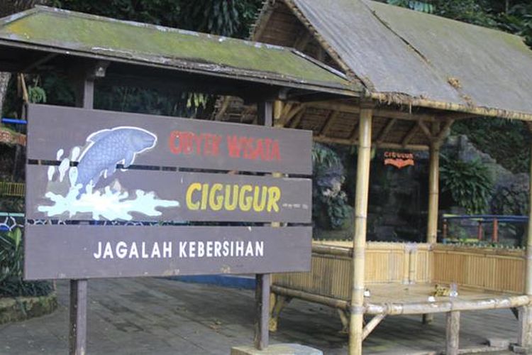 Objek Wisata Cigugur, Terapi Ikan Dewa