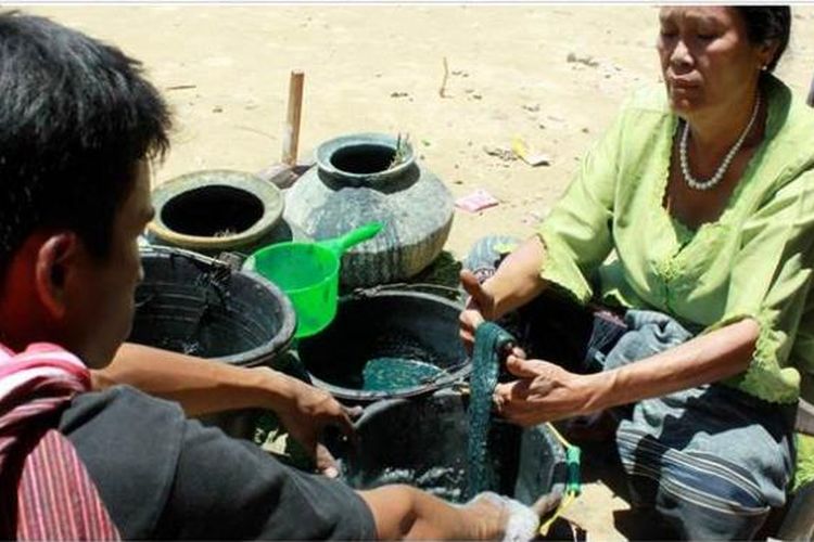 Maroker Siregar, petenun ulos di Desa Huta Nagodang, Kecamatan Muara, Kabupaten Tapanuli Utara, Sumatera Utara, Minggu (22/2), mencelupkan benang hasil pintal ke dalam cairan pewarna alami yang terbuat dari daun salaon. Kerajinan ulos dari benang dengan pewarna alami sudah jarang digunakan seiring maraknya pewarna kimia yang memungkinkan pembuatan ulos lebih cepat dan praktis. 