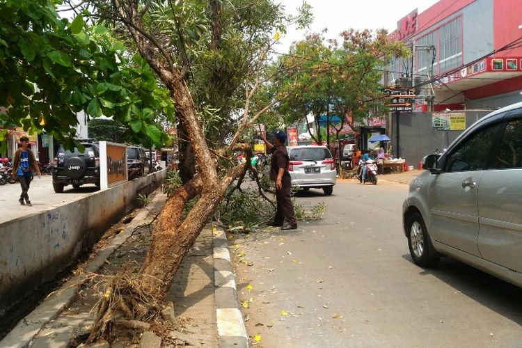 Pohon tumbang akibat tersangkut truk kontainer di Jalan Pahlawan, Rempoa, Tangerang Selatan, Selasa (12/9/2017).