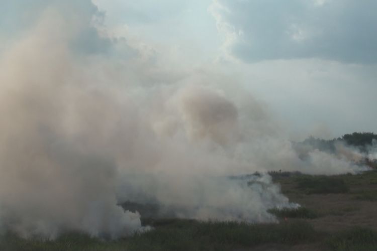 lahan yang terbakar di sisi kiri dan kanan JalanTol Palindra menghasilkan asap tebal berwarna putih membumbung tinggi ke udara.
