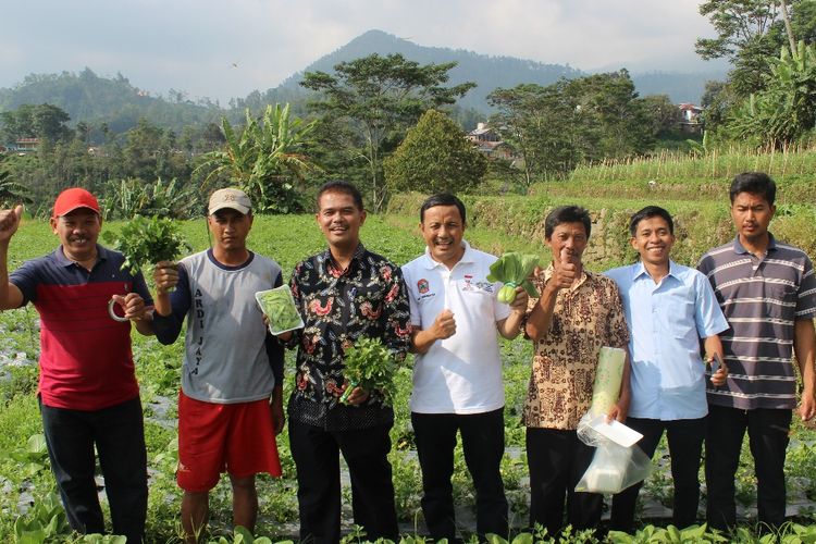 Kementerian Pertanian (Kementan) terus menggenjot berbagai daerah agar menjadi sentra produksi sayuran organik, salah satunya Kabupaten Karanganyar, Jawa Tengah. 