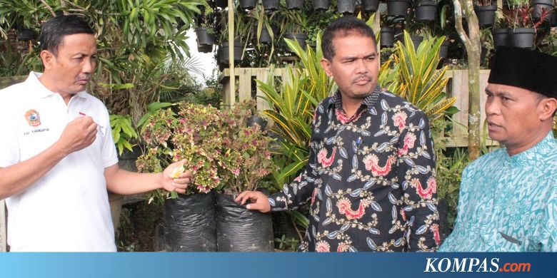 Tawangmangu Jadi Sentra Tanaman Hias | Republika Online