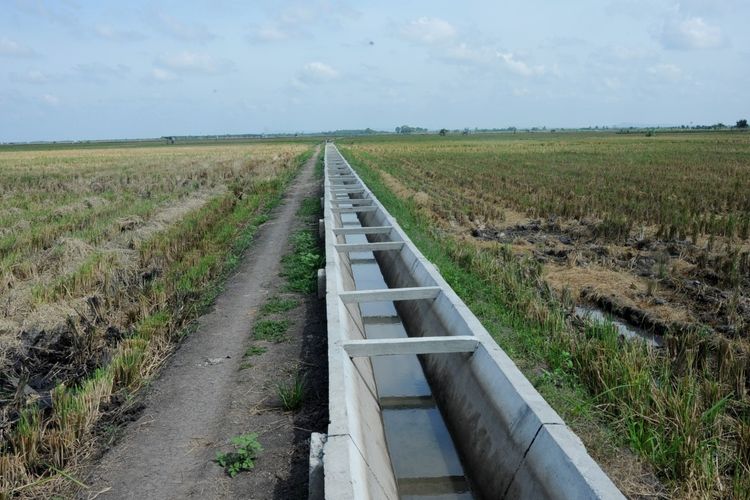 Irigasi air tanah dangkal bisa menjadi solusi lokal untuk daerah yang tidak tercakup dalam sistem irigasi permukaan atau daerah pertanian lahan kering yang hanya bisa melakukan penanaman padi satu kali dalam setahun.