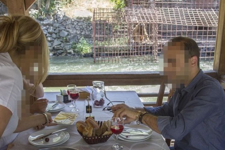 Seekor beruang terlihat berada di kandang kecil. Beruang itu dijadikan hiburan di sebuah restoran, di Armenia. (Daily Mail)