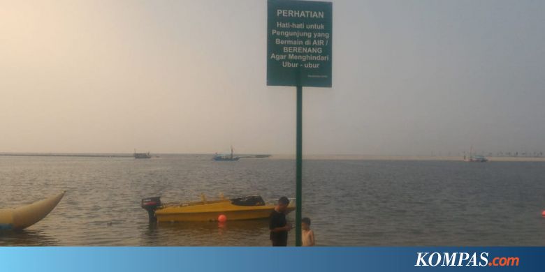 Gunakan Cuka sebagai Pertolongan Pertama Ketika Tersengat Ubur-ubur