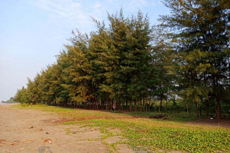 
Pantai Cemoro Sewu, Kabupaten Batang, Jawa Tengah.