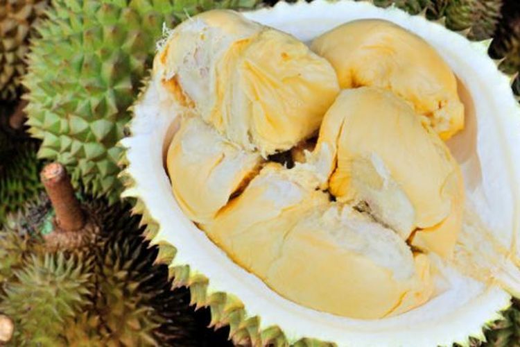 Durian Siak, Riau.