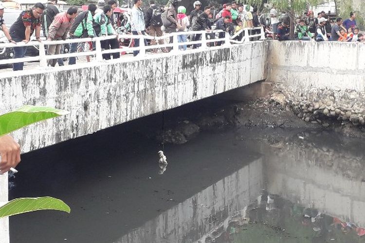 Tiga ekor ayam digantung di sungai untuk memancing buaya muara di Kali Grogol, Jakarta Barat Kamis (28/6/2018). 