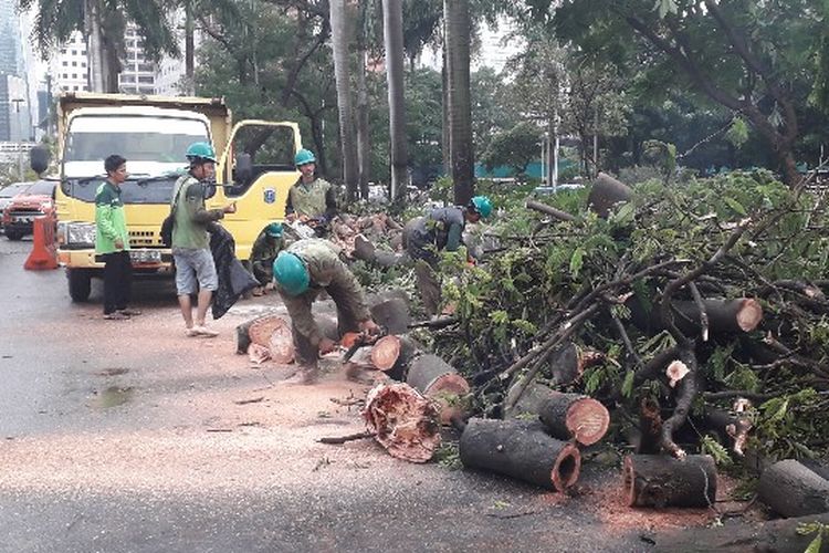 Sejumlah pohon tumbang di Jalan Jenderal Sudirman, Dukuh Atas, Jakarta Pusat pada Kamis (22/11/2018).