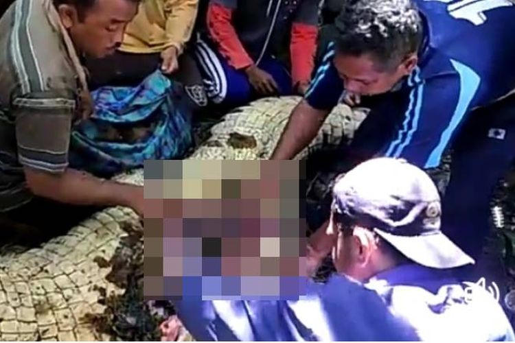 Warga Desa Waepandang, Kecamatan Kepala Madan, Kabupaten Buru Selatan, Maluku membelah perut seekor buaya yang mereka tangkap kemudian mereka mengeluarkan potongan tubuh warga setempat yang menjadi korban buaya, Selasa (16/4/2019) pekan lalu. 