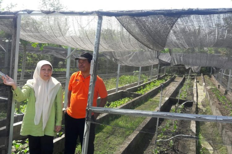 Sulawesi Tengah (Sulteng) merupakan salah satu daerah sentra produksi pertanian termasuk hortikultura di Indonesia