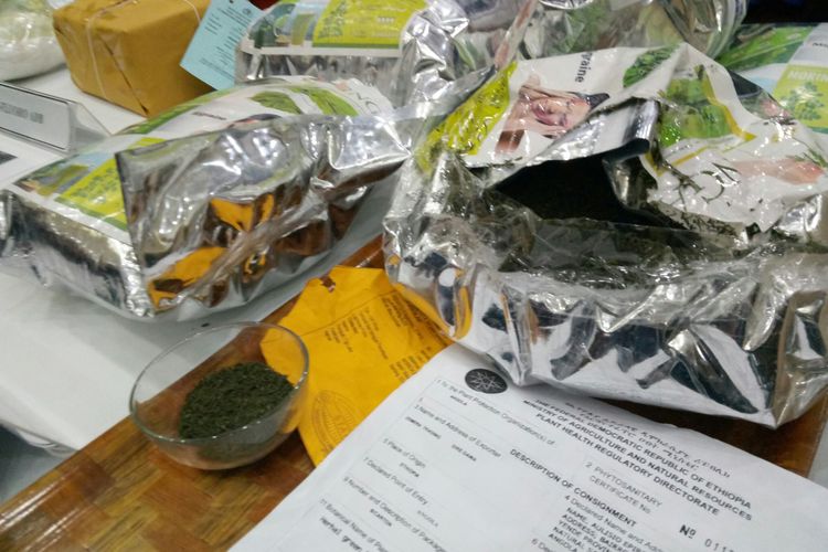 Barang bukti daun khat yang dikemas dengan bungkus green tea. Daun khat ini berasal dari Ethiopia.