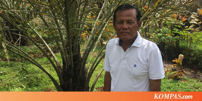 Kisah Soeparlan, Pemilik Kebun Kurma di Magetan