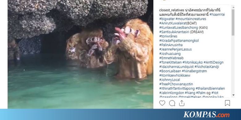 [HOAKS] Keberadaan Alien atau Makhluk "Chay Na" di Sebuah 