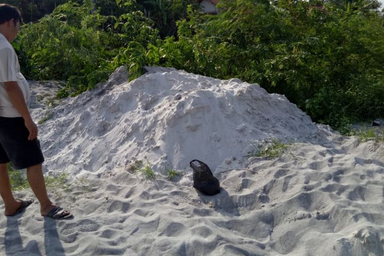 Warga Kecamatan Rengasdengklok, Kabupaten Karawang, memprotes adanya penimbunan dan pengurukan tailing pasir zirkon PT Monokem Surya di Desa Amansari, yang lokasinya berdekatan dengan Sungai Citarum, persawahan, dan pemukiman warga. 
