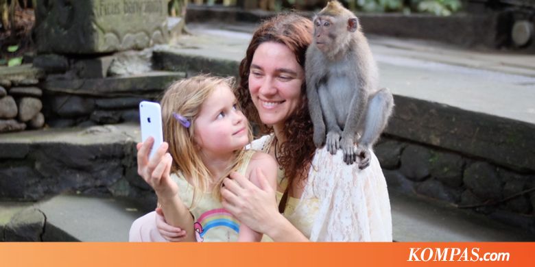 Monkey Forest Ubud, Tempatnya Monyet-Monyet Lucu dan 