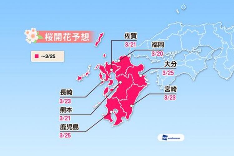 Prediksi sakura mekar di area Kyushu (Prediksi diumumkan tanggal 16 Januari 2019/ Weather News). 