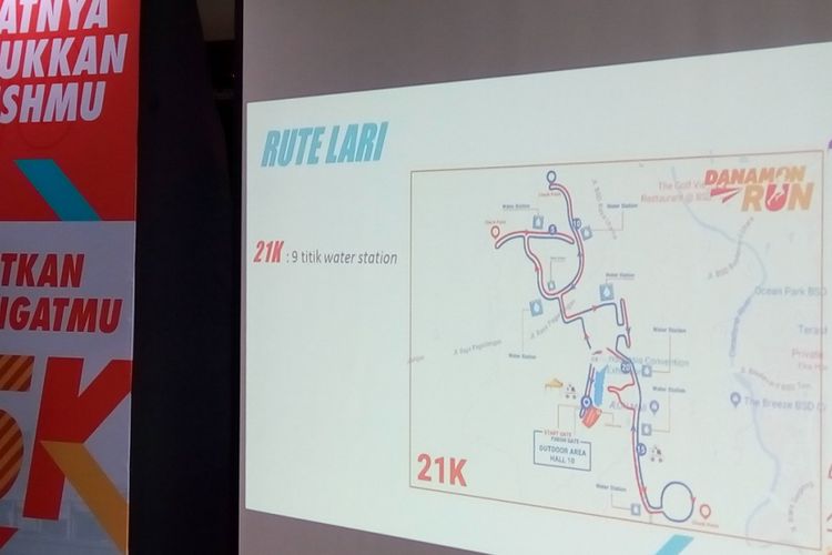 Danamon Run tahun ini adalah penyelenggaraan kali kedua. Danamon Run 2018 dilaksanakan pada 25 November 2018 di ICE Bumi Serpong Damai (BSD), Serpong, Tangerang Selatan.