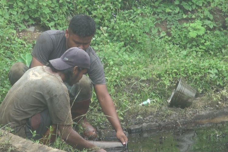 Dua orang pekerja tampak sedang menyedot tumpahan minyak di sebuah kolam dengan menggunakan pipa untuk selanjutnya dimasukkan ke truk tangki.