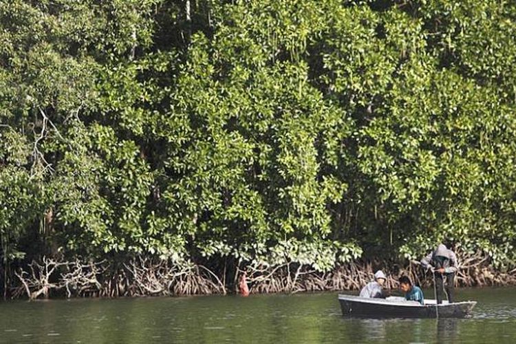Hutan bakau yang dikelola swadaya oleh masyarakat di Kecamatan Balikpapan Utara, Kota Balikpapan, Kalimantan Timur. Selain pusat konservasi, hutan bakau seluas lebih kurang 150 hektar tersebut merupakan habitat bagi bekantan dan menjadi tujuan wisata alam.