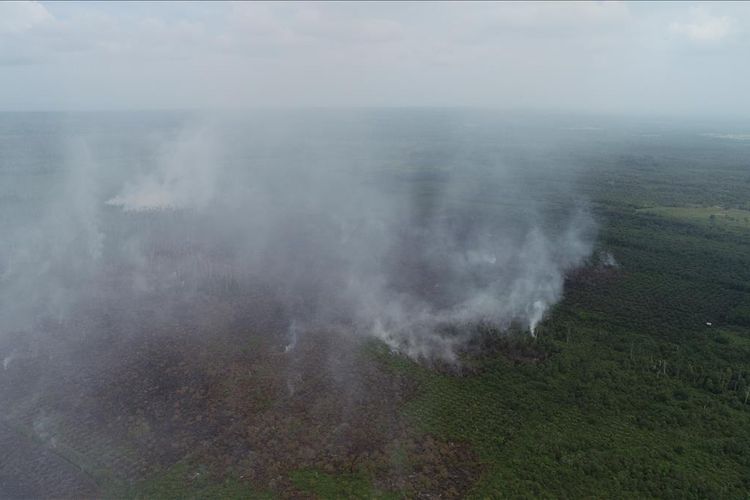 Kondisi kebakaran hutan dan lahan (karhutla) gambut di Aceh Barat. 