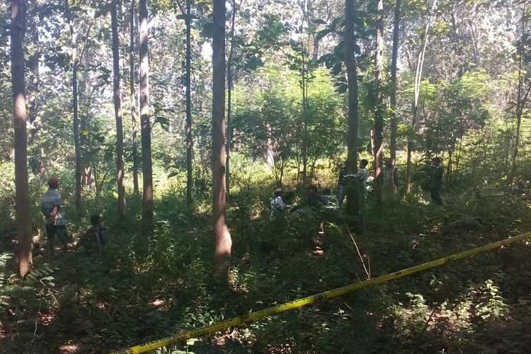 Lokasi ditemukannya jasad Tamjis (73) di kawasan hutan petak 38, RPH/BKPH Ngliron wilayah Desa Ngliron, Kecamatan Randublatung, Kabupaten Blora, Jawa Tegah, Sabtu (18/5/2019).