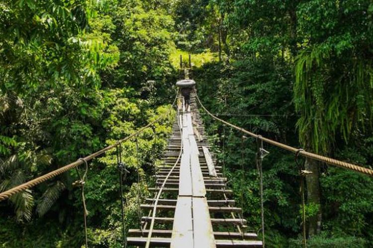 Menikmati suasana hutan serta alam yang masih terjaga di obyek wisata Tangkahan, Kabupaten Langkat, Sumatera Utara.