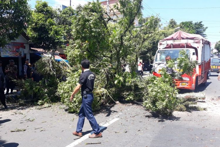 Petugas gabungan berusaha membersihkan bangkai pohon akasia yang tumbang dan menimpa dua siswi di Jalan S. Parman, Banjarnegara, Jawa Tengah, Jumat (23/3/2018).