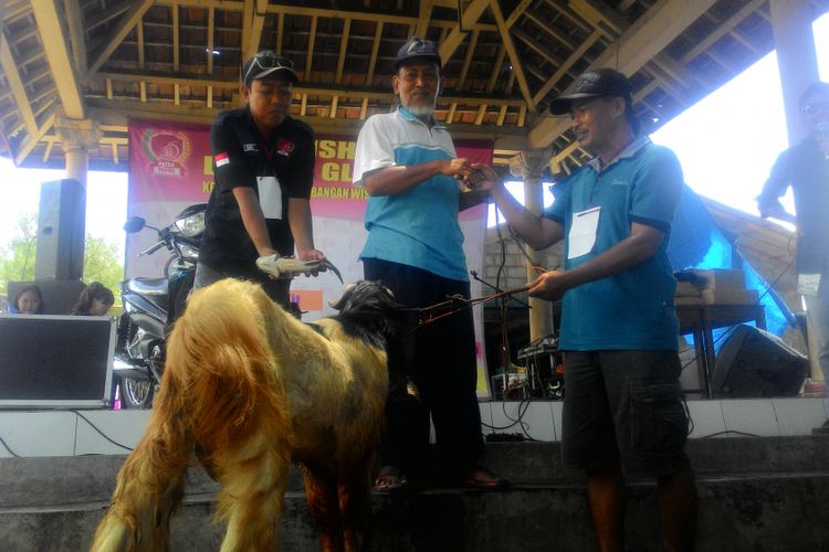 Warga terdampak pembangunan bandara NYIA di Yogyakarta, membuat banyak kegiatan sendiri sebagai bagian upaya membiasakan diri dari yang tadinya  agraris jadi kegiatan jasa. 