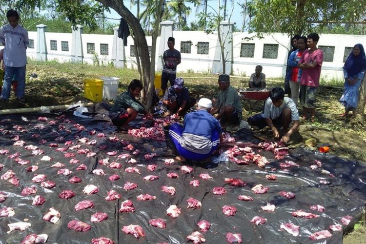 Kementerian Tenaga Kerja menyerahkan hewan-hewan kurban di beberapa titik lokasi bencana di Lombok Utara dan Lombok Timur pada Idul Adha 1439 Hijriah.

