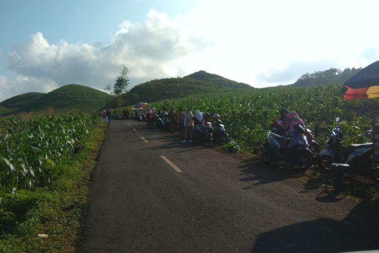 Para Mengunjungi Bukit Teletubbies di Dusun Candi , Desa Giring, Kecamatan Paliyan, Gunungkidul Yang Viral Selasa (8/1/2019) 