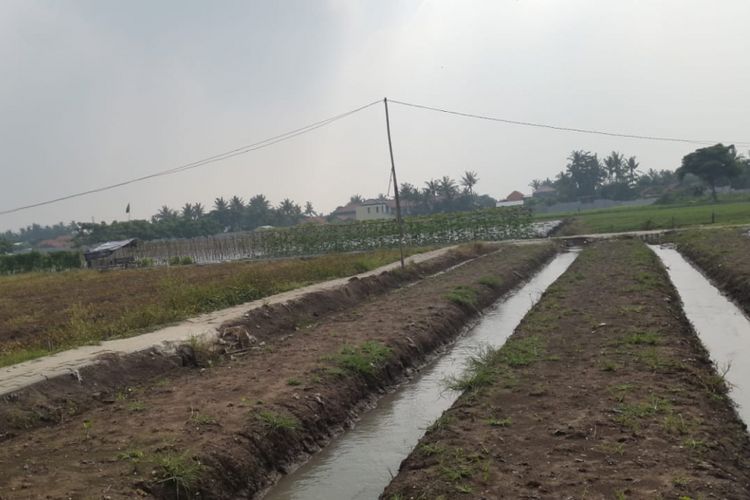 Lahan kebun sayur siap tanam yang dikelola <a href='https://kaltim.tribunnews.com/tag/bagas-suratman' title='Bagas Suratman'>Bagas Suratman</a> di Tangerang, Banten.