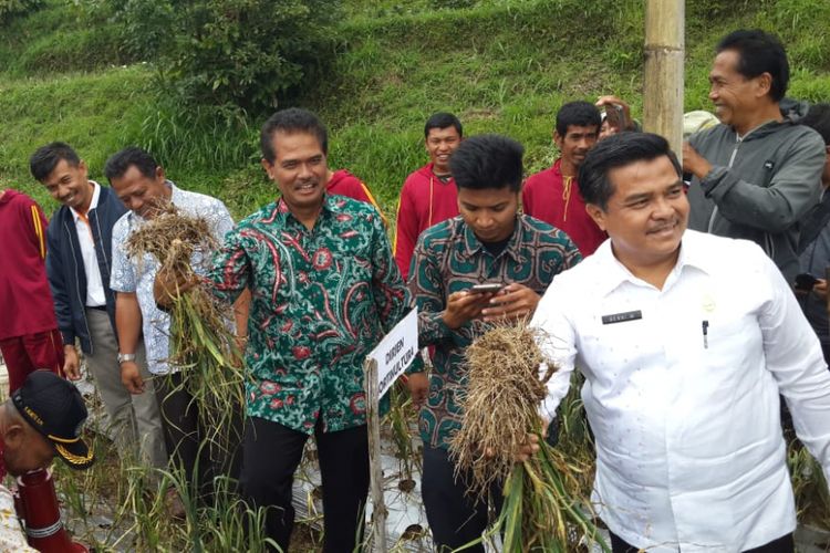 Kegiatan tanam perdana bawang putih di Nagari Air Dingin, Kecamatan Lembah Gimanti, Kabupaten Solok, Kamis (28/2/2019).